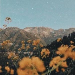 Meet your Posher, Cameron